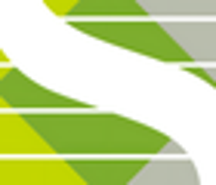 Image enlarged with standard upscaling: soft and blurry result