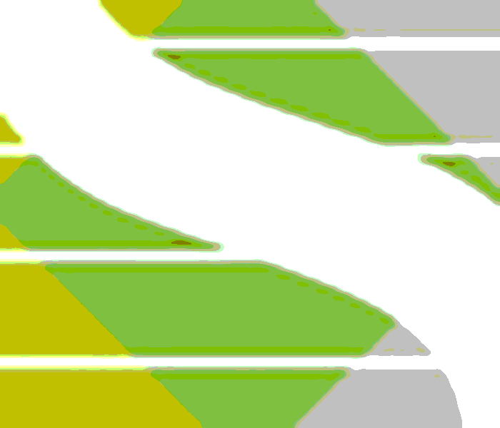 Image converted to vector: flat colours, gradients lost, detail destroyed